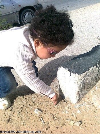 کشف مورچه ها