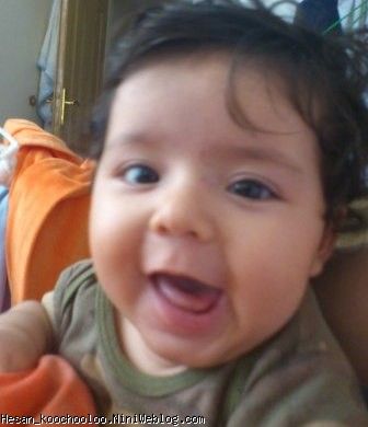 jigar