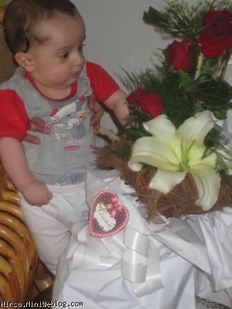 دبریه