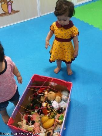 حسنا و اسباب بازی ها
