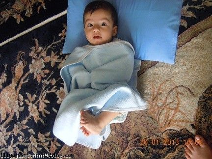 ایلیا
