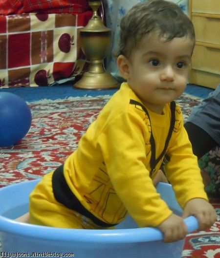 ایلیا
