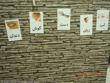 ایلیا