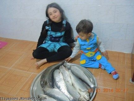 ایلیا
