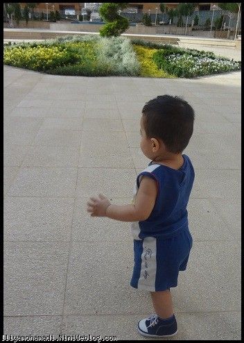 تاتی 2