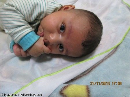4ماهگی ایلیای من
