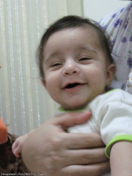4 ماهگی