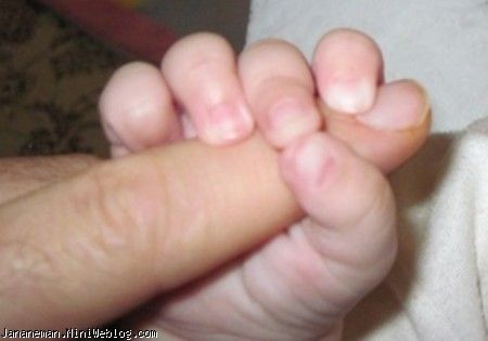 هفته دوم 5 ماهگی