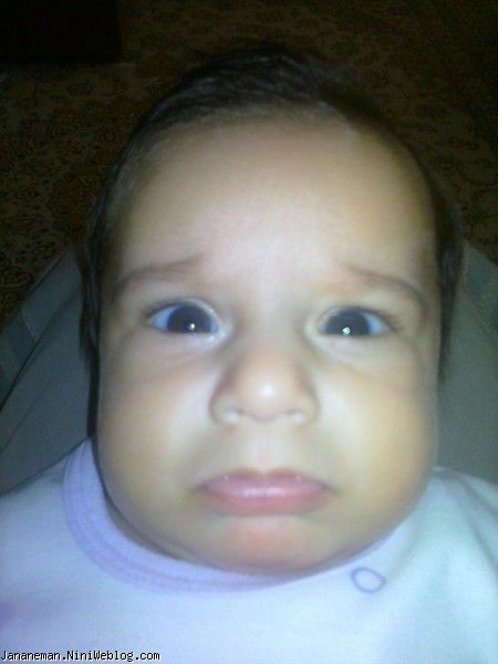 هفته اول 4 ماهگی