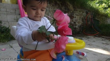 این عکس ماشینت