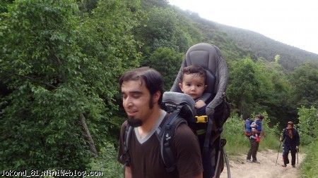 سام و جنگل&zwnj;نوردی