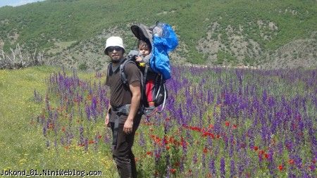 سام و بابایی و دشت گلها