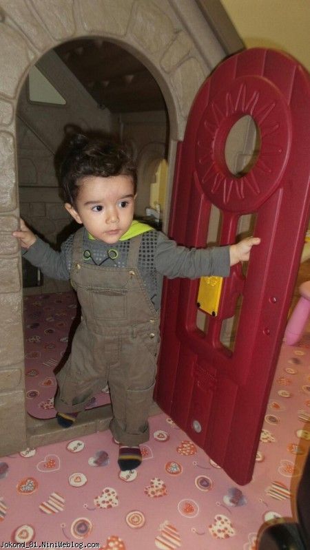 سام و کلبش