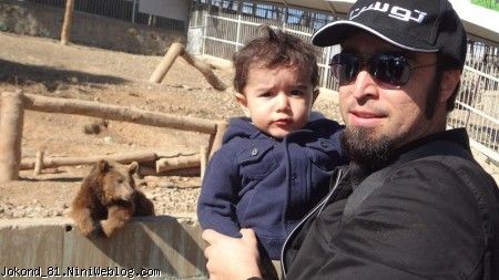 سام و بابایی و آقا خرسه
