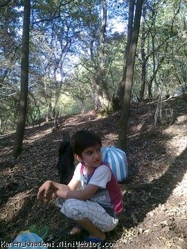 کارن در حال استراحت 