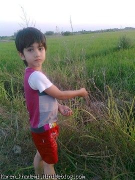 کارن و شالیزار شمال