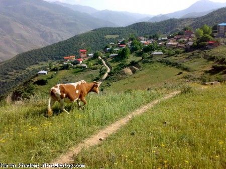 ییلاق زیبا