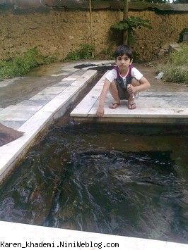 کارن در ارفعده