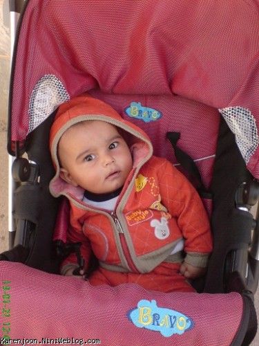 کالسکه