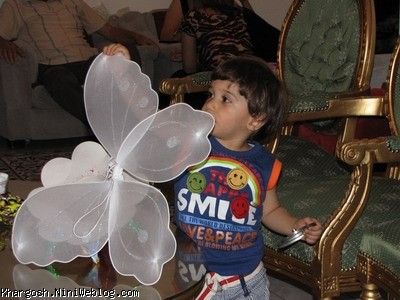 amir ali