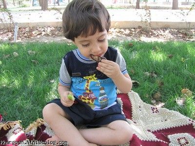 kabab
