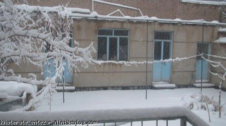 چند تا عکس جامونده