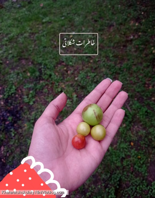 طوفان های دوست داشتنی❤️‍🩹