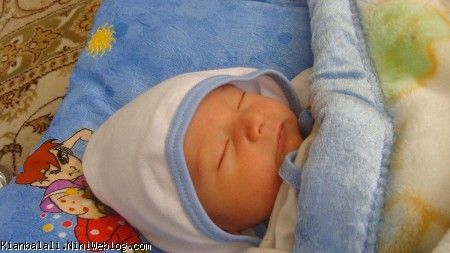 کیان طلا موش بلا