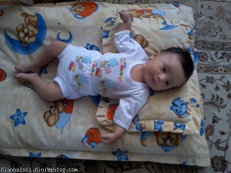 کیان طلا موش بلا