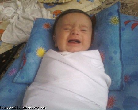 کیان طلا موش بلا