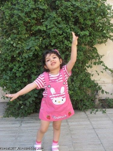 کیمیا در حیاط