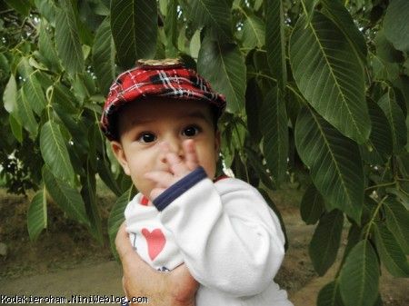اومدم باغ بابابزرگم کنار درخت گردو عکس بندازم