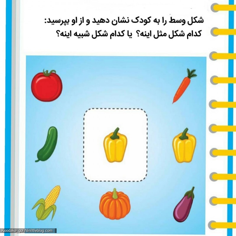 👼🌷️ تست هوش دو سالگی (3)