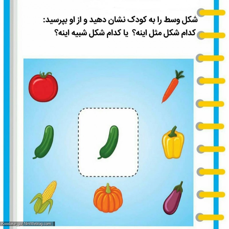 👼🌷️ تست هوش دو سالگی (4)