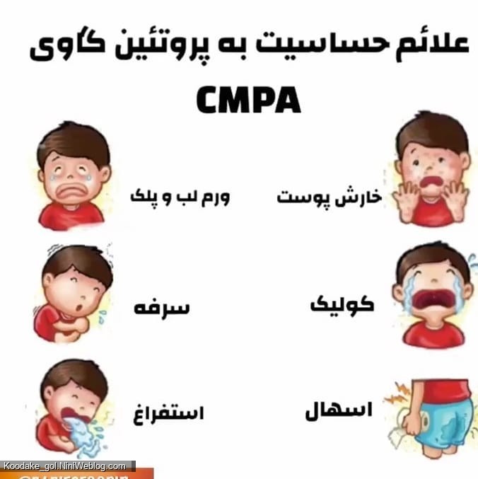 علایم حساسیت به پروتئین گاوی