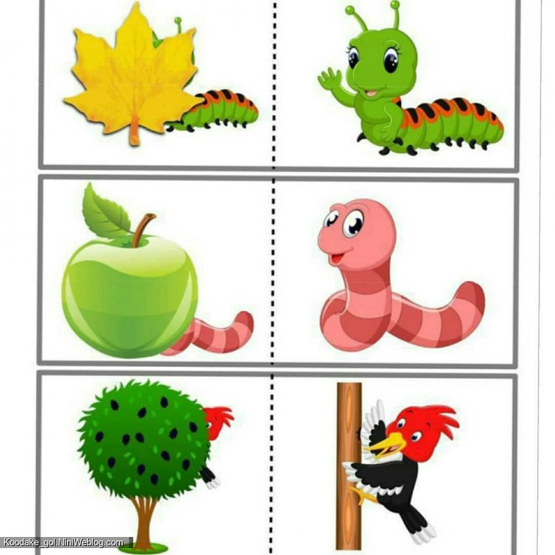 افزایش هوش کودک 3 ساله (1)