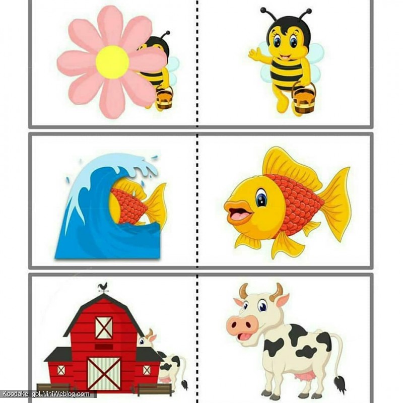 افزایش هوش کودک 3 ساله (2)