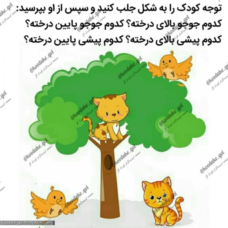 تست هوش 2 سالگی (1)