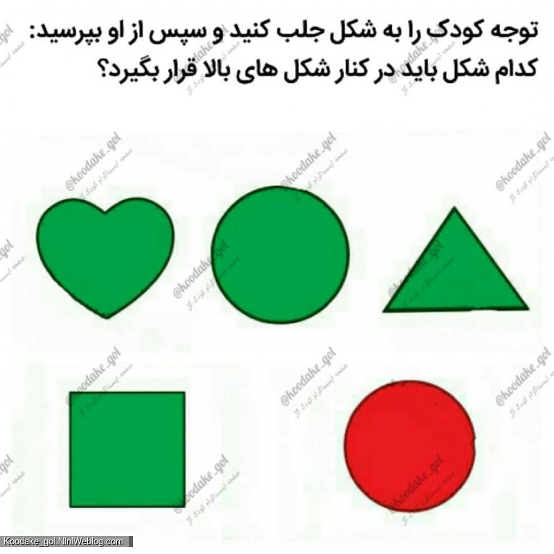 تست هوش 2 سالگی (4)