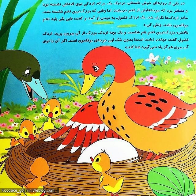 قصه جوجه اردک زشت - 1
