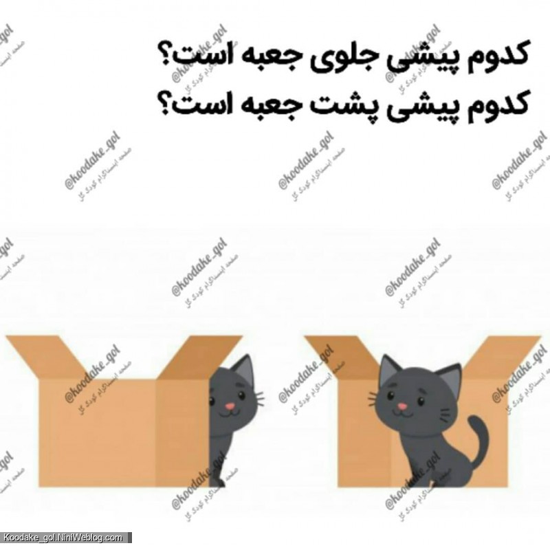تقویت هوش ریاضی - 1