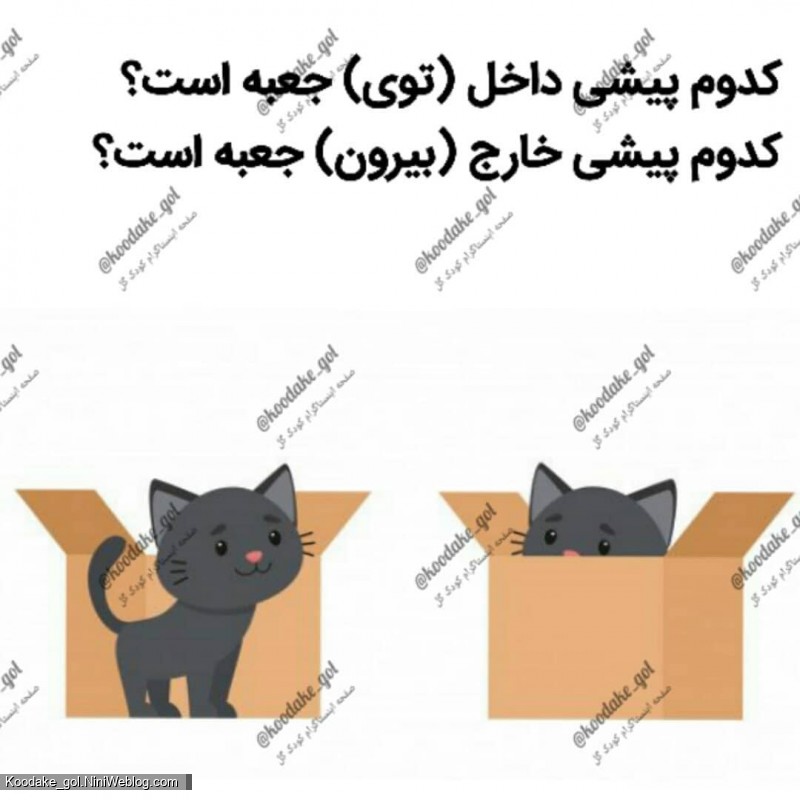 تقویت هوش ریاضی - 2