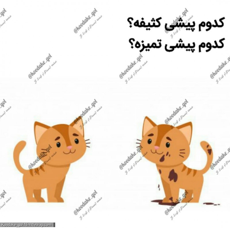 تقویت هوش ریاضی - 3