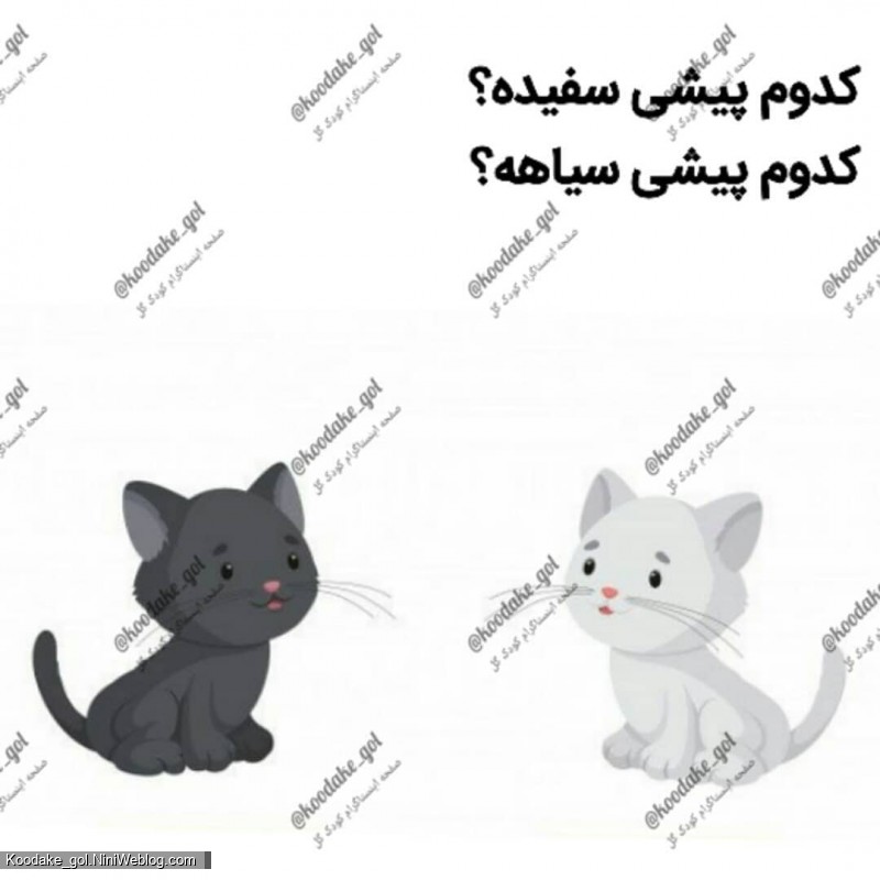 تقویت هوش ریاضی - 4