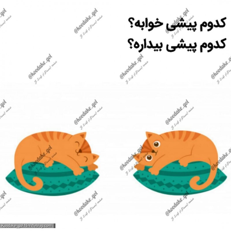 تقویت هوش ریاضی - 5