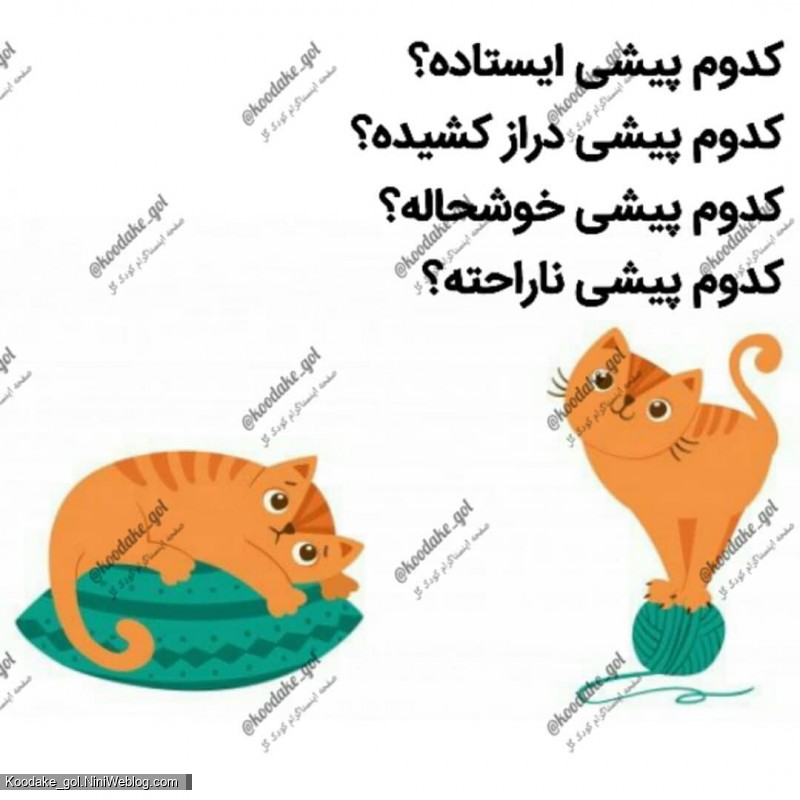 تقویت هوش ریاضی - 6