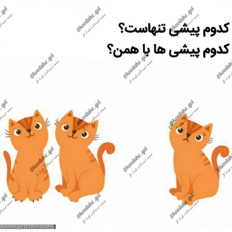 تقویت هوش ریاضی - 8