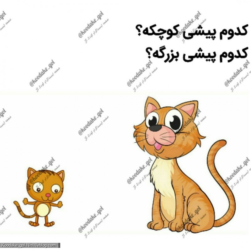 تقویت هوش ریاضی - 9