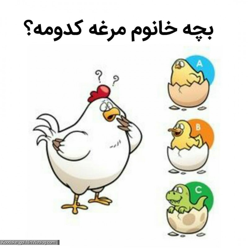 تست هوش 2 تا 4 سالگی - 1