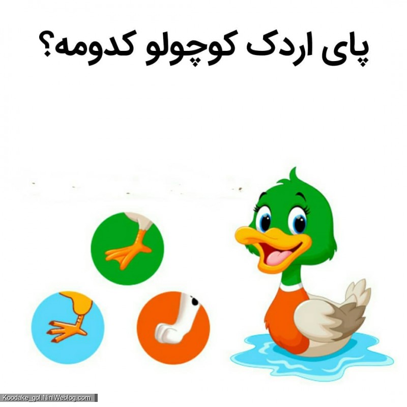 تست هوش 2 تا 4 سالگی - 2